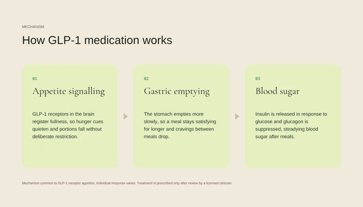 How GLP-1 medication works: appetite signalling, slower gastric emptying, steadier blood sugar
